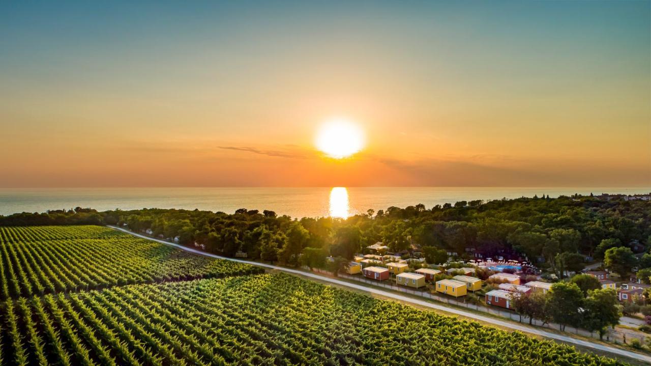 Sunflower Camping Mareda Екстериор снимка
